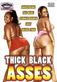 Thick Black Asses (144688.50)